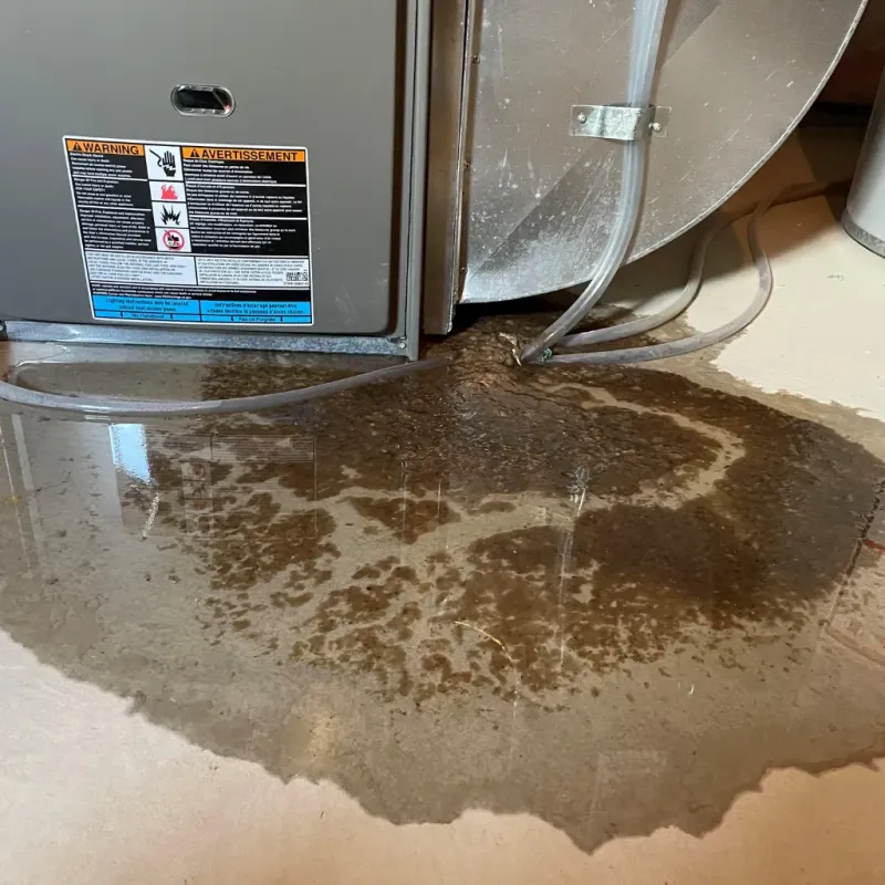 Appliance Leak Cleanup in Kahaluu, HI